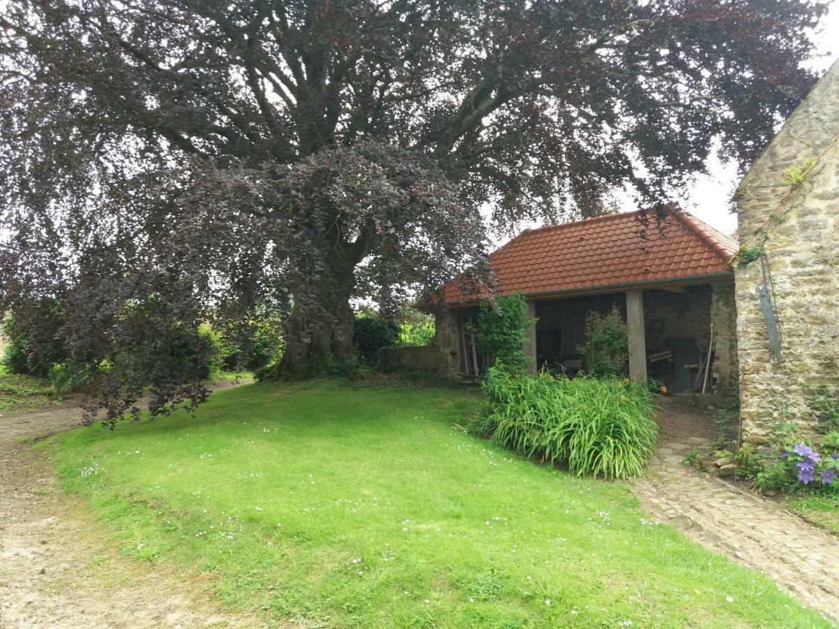 Bed and Breakfast Petit Manoir De La Berthenlaire Baincthun Esterno foto